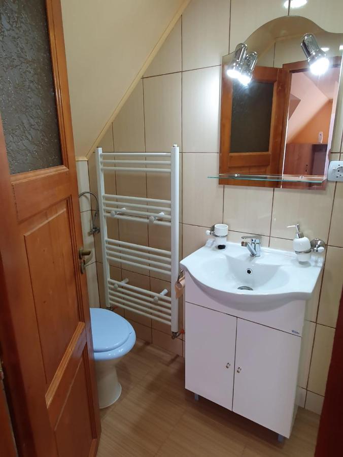Pensiunea Leia Transfagarasan Cîrţişoara Exterior foto