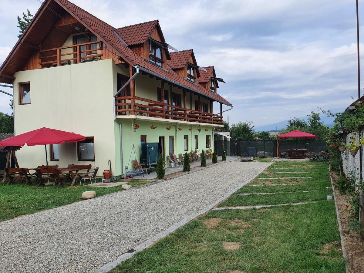 Pensiunea Leia Transfagarasan Cîrţişoara Exterior foto