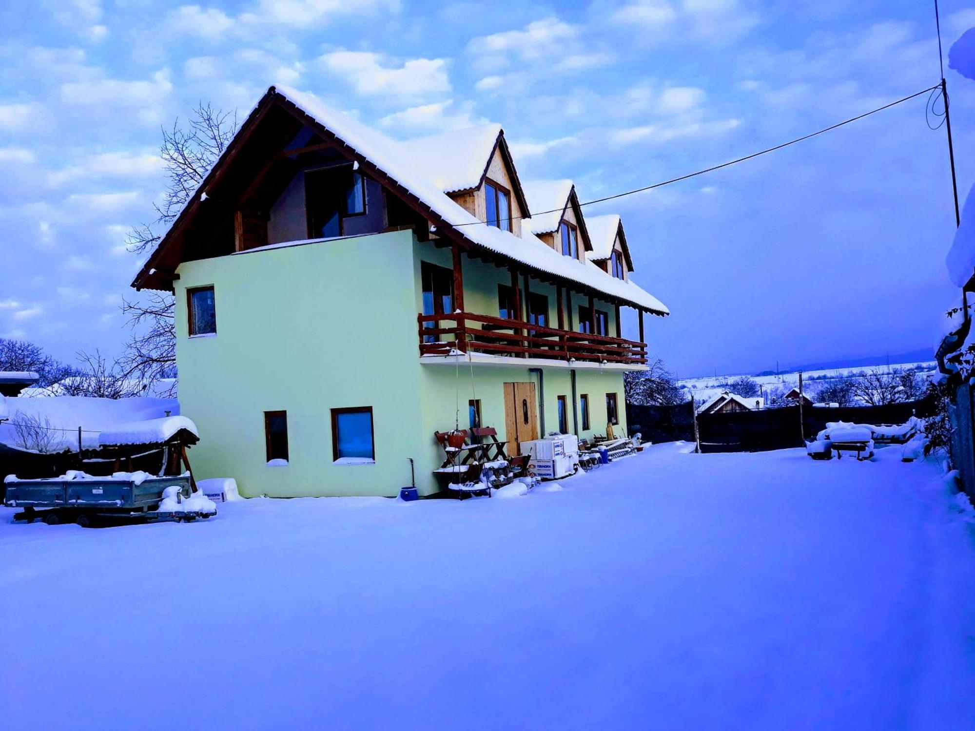 Pensiunea Leia Transfagarasan Cîrţişoara Exterior foto