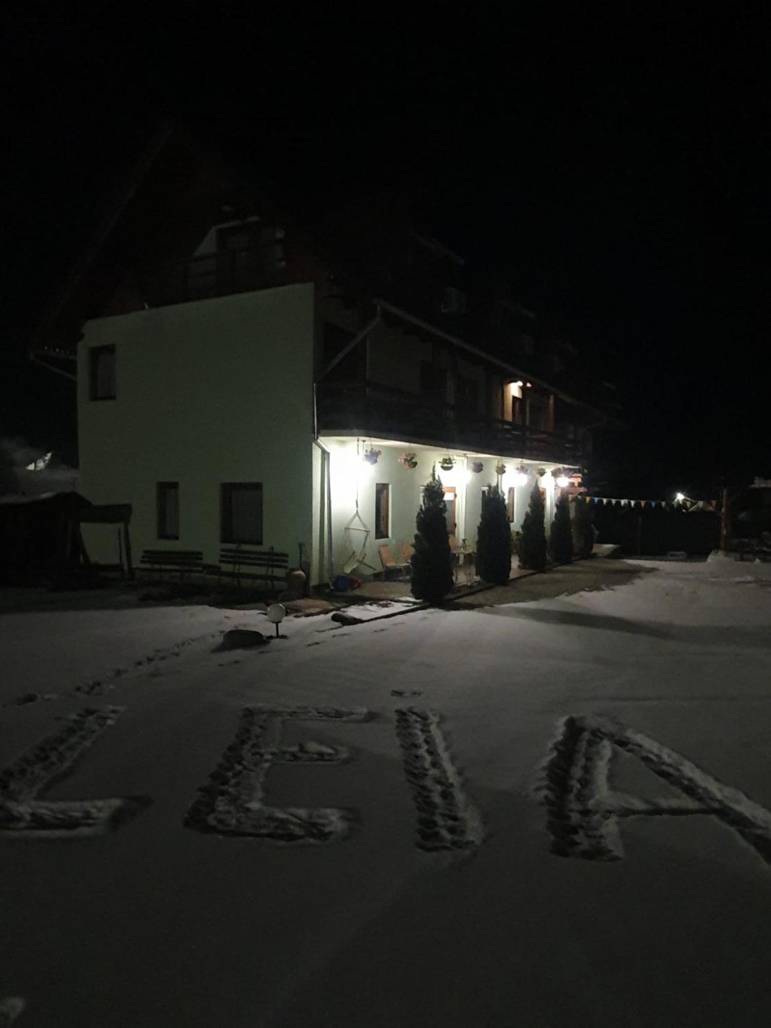 Pensiunea Leia Transfagarasan Cîrţişoara Exterior foto